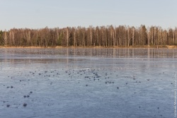 На коньках 5.jpg